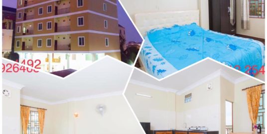 1 Bed 1 Bath Elevator Apartment For Rent