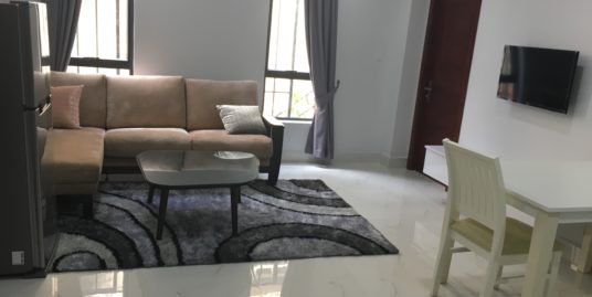 Nice Fully Furnished Apartment For Rent
