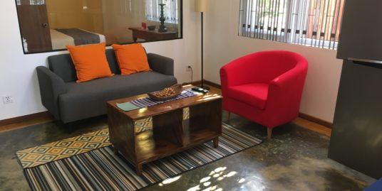 2 Bedrooms Fully Furnished Apartment for Rent