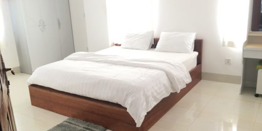 Fully Furnished Elevator Apartment for Rent