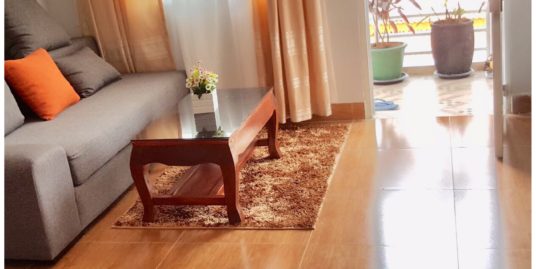 Nice Fully Furnished Apartment for Rent