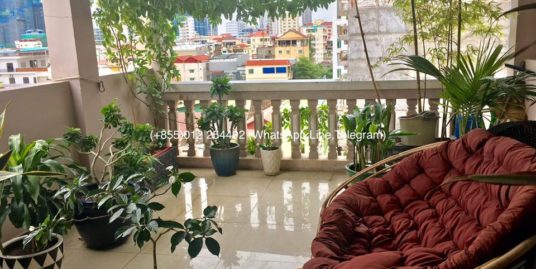 Huge Terrace Apartment for Rent