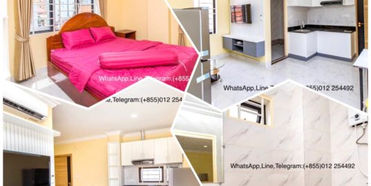 Nice Fully Furnished Elevator Apartment for Rent