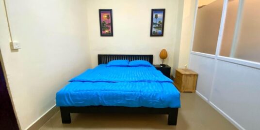 Nice Elevator Apartment for Rent