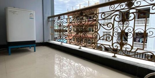 Nice Fully Furnished Apartment for Rent