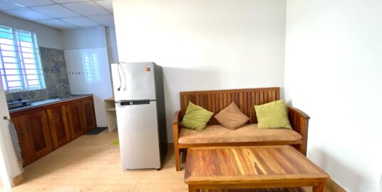 Nice Fully Furnished Apartment for Rent