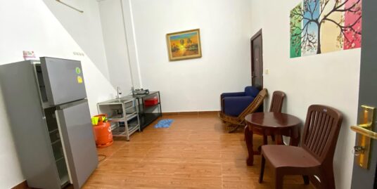 Brand New Furnished Apartment for Rent