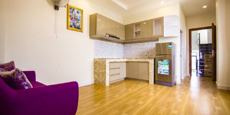90166-brand-new1-bed-1-bath-ele70-h