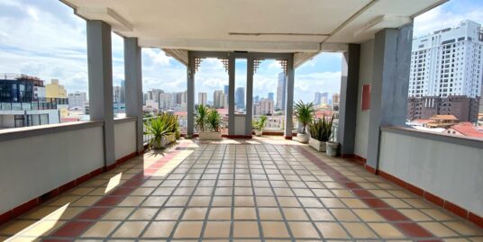 Huge Terrace Fully Furnished Apartment for Rent