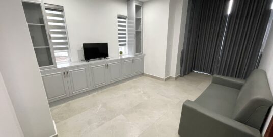 Brand New Western Apartment for Rent