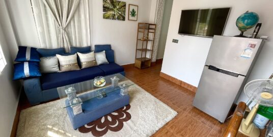 Western 2 Bedrooms Apartment for Rent