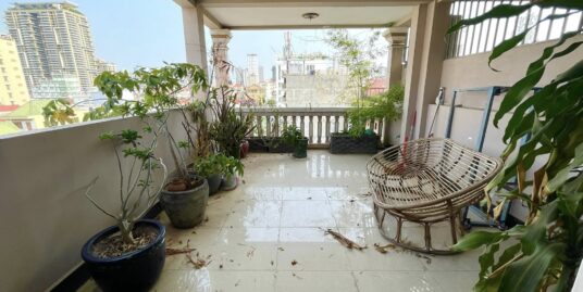 Huge Terrace Apartment for Rent